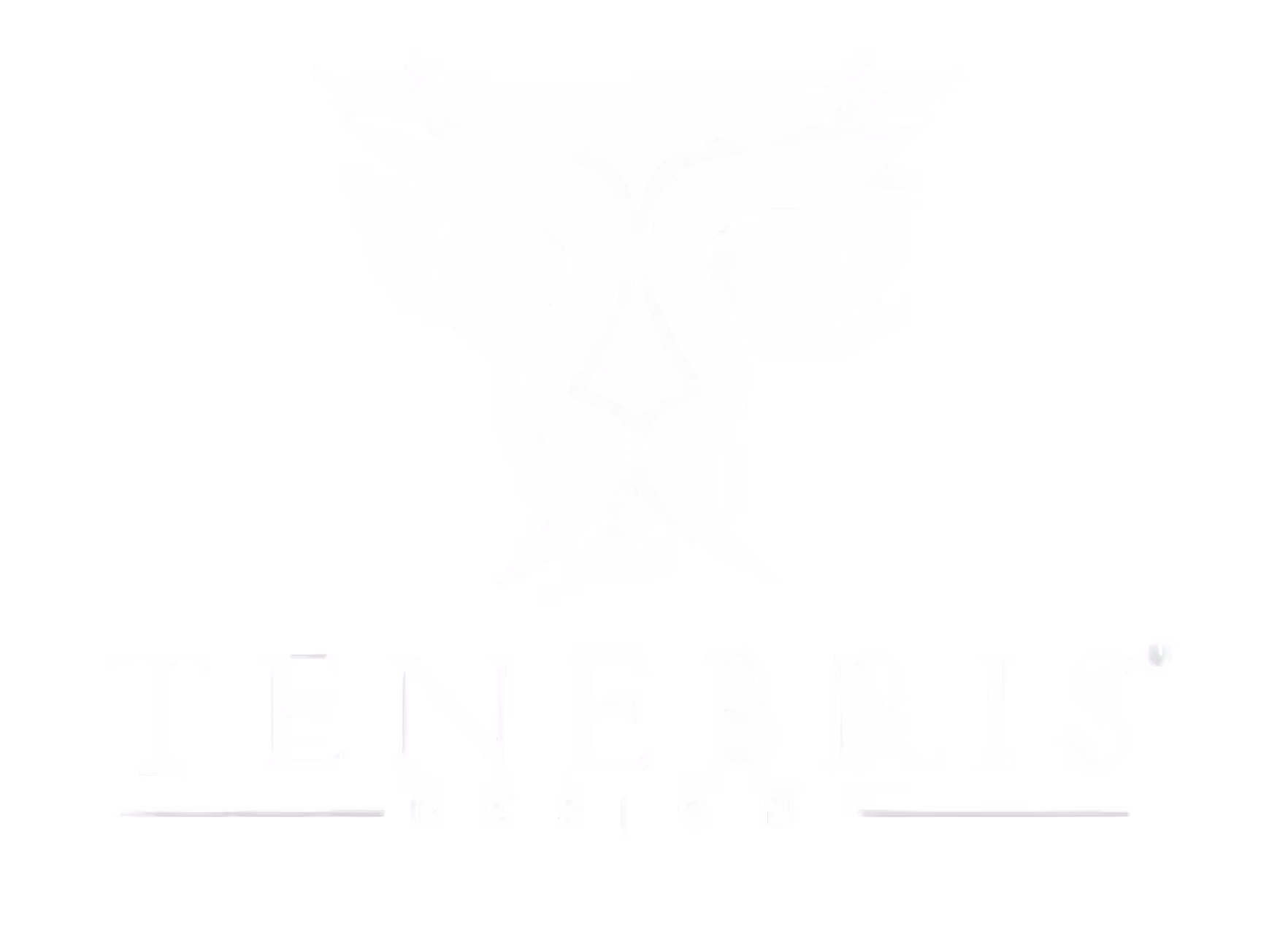 Blank white image with no visible content or details